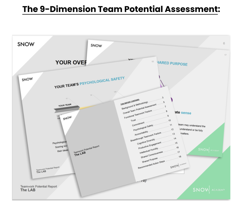 The 9-dimension team potential assessment